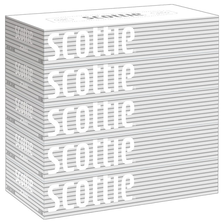 スコッティ　200W×5P