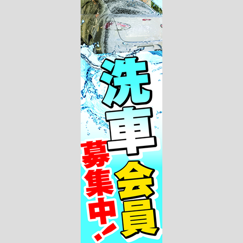 のぼり「洗車会員募集中！」洗車